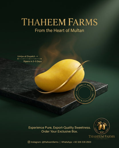 Thaheem Farm Chaunsa - Premium Mango Box